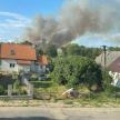 Pożar zboża na polu w gminie Dolice