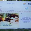 wystawa pocztówek park Chrobrego