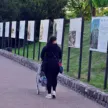 wystawa pocztówek park Chrobrego gl