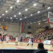 spójnia basket