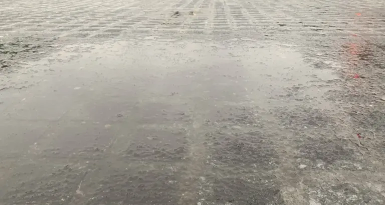 stargardzka gołoledź