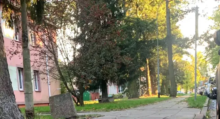 ulica Witoszyńskiego