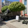 konstytucja 3 maja w stargardzie