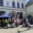 konstytucja 3 maja w stargardzie