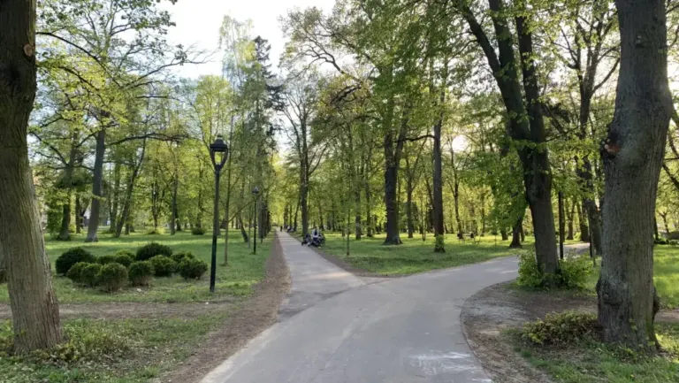 park batorego