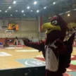 spójnia stargard maskotka klubu
