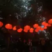 artfestiwal stargard 2026 iluminacje park chrobrego