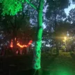 artfestiwal stargard 2026 iluminacje park chrobrego