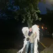 artfestiwal stargard 2026 iluminacje park chrobrego