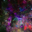 artfestiwal stargard 2026 iluminacje park chrobrego