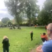 dni stargardu 2026 festyn historyczny