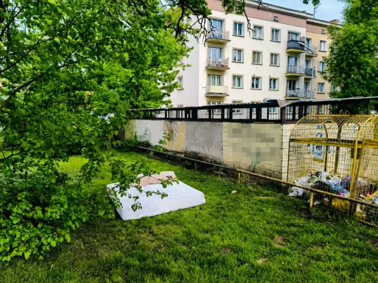 osiedle Tysiąclecia bezdomny