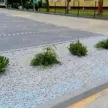parking zieleń