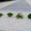 parking zieleń