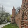 14. pstryknij foto wiosna
