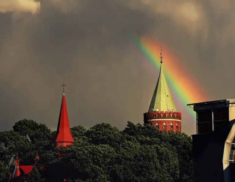pstryknij foto wiosna