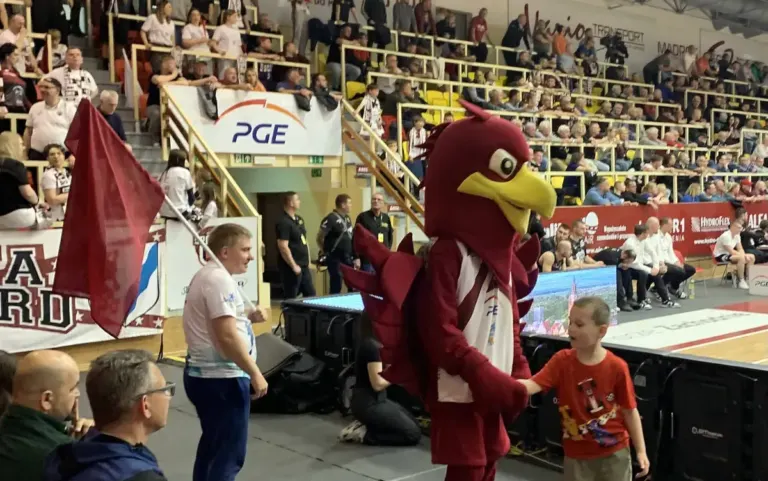 spójnia maskotka