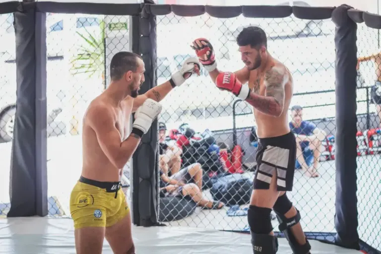 MMA trening