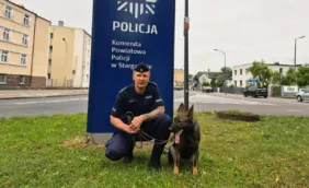 stargardzki policyjny pies zona