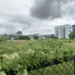 teren na sklep lidl kochanowskiego w stargardzie