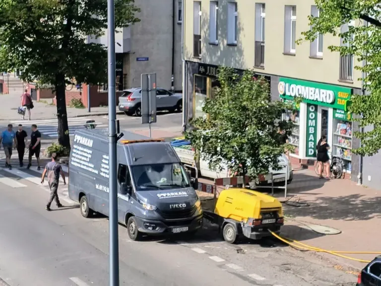drzewa Piłsudskiego
