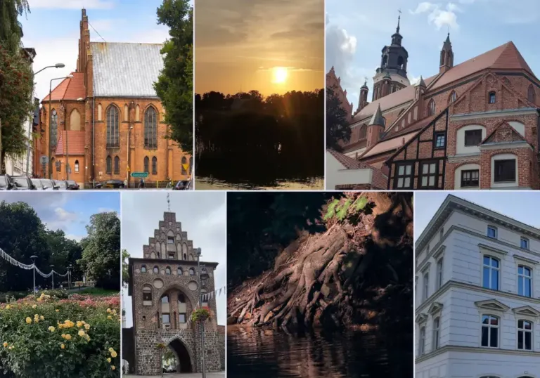 latem pstryknij foto