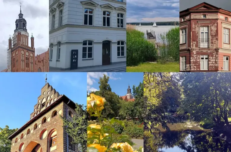 lato 2026 pstryknij foto