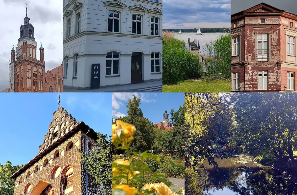 lato 2026 pstryknij foto