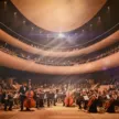 Szkoła muzyczna w S⁫targardzie i sala koncertowa koncepcja wybrana fot. Sebastian Ler